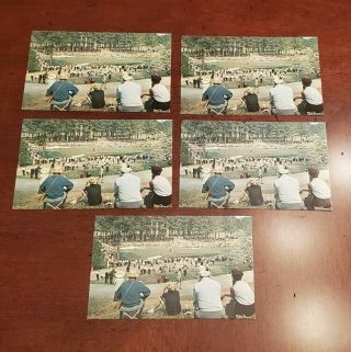 Jack Nicklaus 16th Hole Augusta National Golf Course—postcard 1963,  Qty 5