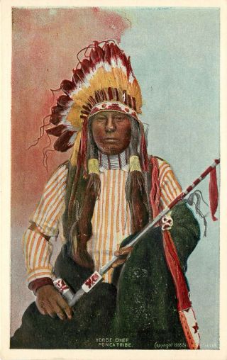 C1907 Embossed Postcard; Native American Horse Chief,  Ponca Tribe,  Great Plains