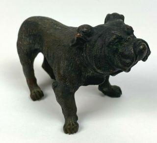 Antique Brass Bulldog W/ Great Patina Heavy