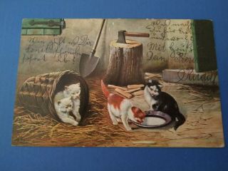 Vintage Cat Postcard.  Art.  Four Kittens In Barn.  Empty Plate.  German.  Mailed.
