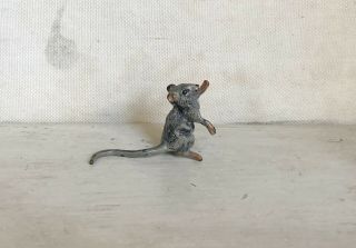 Sweet Old Vienna Austrian Bronze Cold Painted Mouse Or Rat