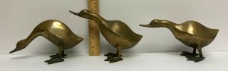 Three Smooth Brass Ducks In Various Poses 4 To 5 Inches Tall Cute Together