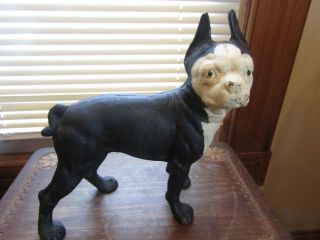 Vintage Cast Iron Bull Dog Boston Terrier Hubley? Door Stop Pit Bull Look