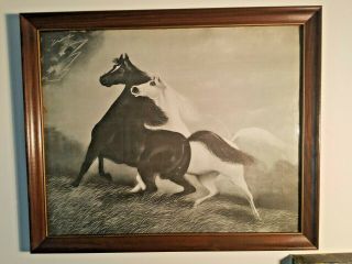 Spirited Horses No.  2 Henri Leroy,  1904 Chromo Lithograph,  20 X 16