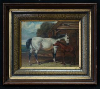 Early 20th Century Oil Painting " Portrait Of Horse "