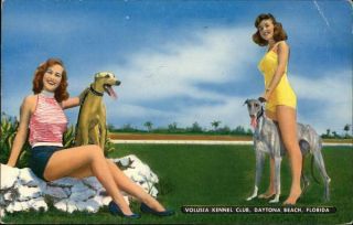 1958 Daytona Beach,  Fl Volusia Kennel Club Dog Racing Florida Chrome Postcard
