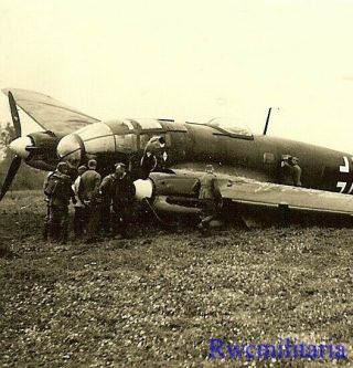 Best Luftwaffe Airmen Looking Over Crash Landed He - 111 Bomber In Field
