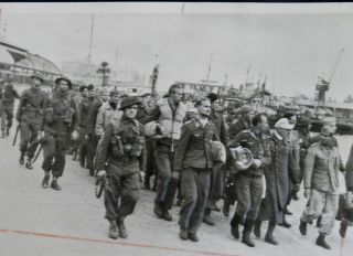 Wwii Press Photo Prisoners From Battle Of North Africa On Algiers Docks
