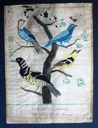 19th Century American Folk Art Signed Hand Colored Fraktur Of Birds - 1842