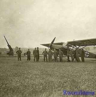 Best Luftwaffe Fi.  156 Storch Recon Plane Parked On Field By 8.  8cm Flak Gun