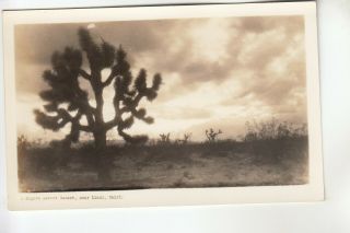 Real Photo Postcard A Mojave Desert Sunset Near Llano Ca