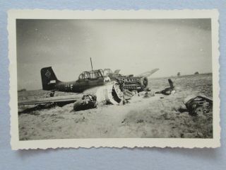 Stg 2 Wwii Luftwaffe Photo Crashed & Cannabilized Stuka Ju 87 Scottie Dog Emblem