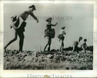 1942 Press Photo Young Girls Sow The Fields Of Sarid In The Plain Of Jezreel