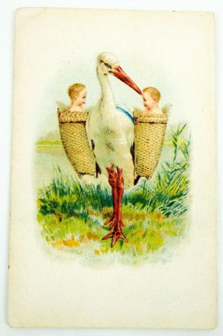 Vintage Pre - War 3d Postcard Stork W/ Baskets Of Babies