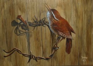 Harmen Timme Norway Listed Artist Warbler Bird Fine Oil Painting On Panel