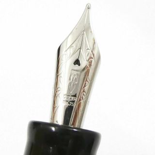 Auth DELTA Dolcevita Medium Stout 18K Gold Nib Fountain Pen Brand - G1842 2