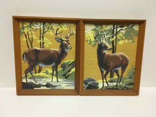 Vintage 1974 Paint By Number Set Of Two Deer Framed 8 X 10 "