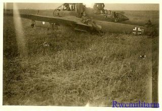 RARE Wehrmacht Troops w/ Shot Down Luftwaffe Fw.  189 UHU Recon Plane; Russia 2