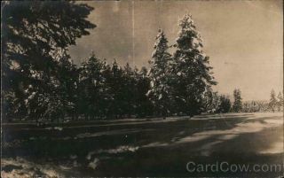 1909 Rppc Chester,  Ca Snow Scene Of Trees And Meadow Plumas County California