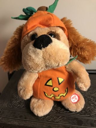 Sound N Light Animatronics Halloween Dog Pumpkin Costume Plays " Witch Doctor "