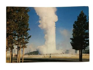 1950s - 60s Giant Post Card Kodachrome Old Faithful Geyser Yellowstone Blank 9x6