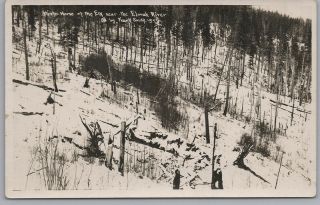 Rppc - Winter Home Of The Elk Near The Elwah River,  Olympic Peninsula,  Wash - 1913