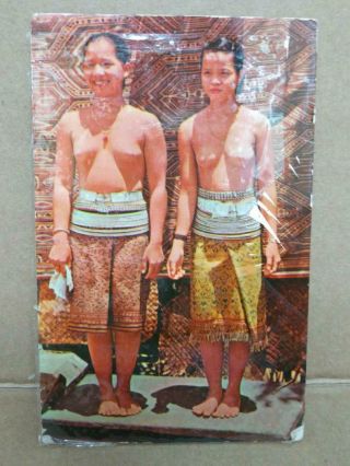 Luckypigeon Sea Dayak Beauties Malaysia Sarawak Kuching Postcard F/s (c1983)