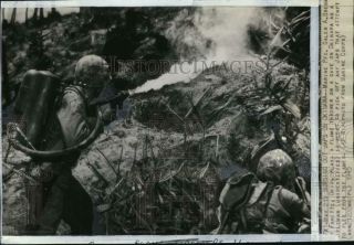 1945 Press Photo Wwii Marines Galen Brehn & Rifleman Ignites A Cave In Japan