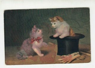 Vintage Postcard Kitty Cat Kittens Top Hat And Gloves - Leechburg Pa.