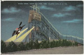 Diving Horse (at Night),  Ocean End Steel Pier,  Atlantic City Nj Postcard