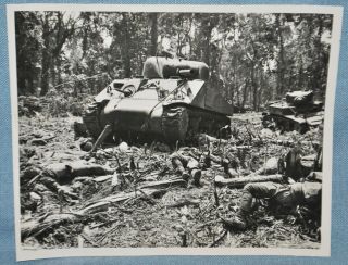 Wwii Press Photo - Sherman Tank Moving Over Fallen Enemy Soldiers