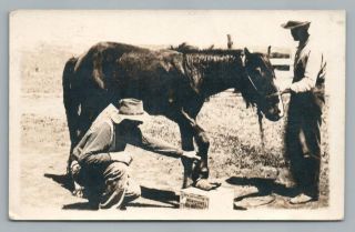 Shoeing A Horse? Rppc Larimore Nd Grand Forks County North Dakota Photo 1910