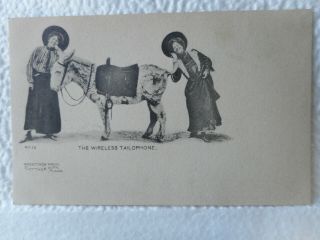 Antique Postcard Prophetic The Wireless Tailophone Donkey Women Talking Unposted
