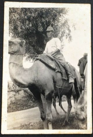 Orig.  Ww2 Photo Camel Japan Soldier/officer Boots Cap Ija Japanese World War