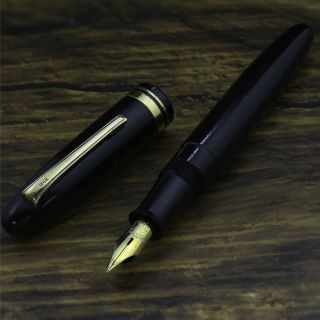 Limited Japanese Brand Nib R14k Handmade Celluloid Body Fountain Pen