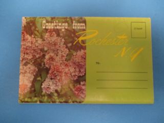 Vintage Souvenir Postcard Folder Rochester,  Ny S492