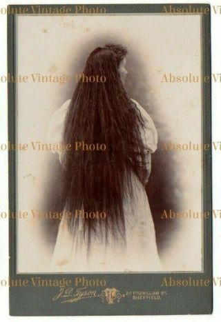 Old Cabinet Photo Young Lady With Long Hair Studio Tyson Studio Sheffield 1880s