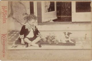 Old Cabinet Photo Children Boy Dog Yorkshire Terrier Jack Russell London F2