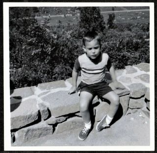 Old Vintage Antique Photograph Adorable Little Boy Sitting On Stone Wall
