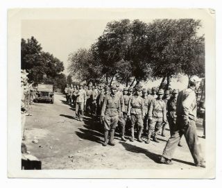 Wwii U.  S.  Army Captures Japanese Soldiers,  Takes Prisoners,  Pow,  Photo