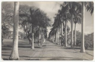 1919 Oahu,  Hawaii - Real Photo Schofield Barracks,  Military Base,  Old Postcard