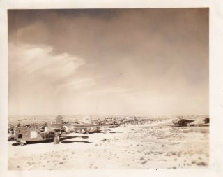 Wwii Photo Aaf 451st Bomb Group B - 24 Bombers On Flight Line Italy 55
