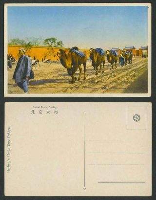 China Old Postcard Camel Train Peking,  Street Scene Camels Caravan Gate Men 北京大街