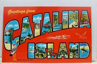 California Ca Catalina Island Greetings Postcard Old Vintage Card View Standard
