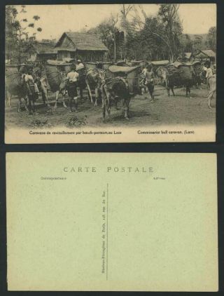 Laos Indo - China Old Postcard Bull Caravan Re - Supply Cattle Native Village Street