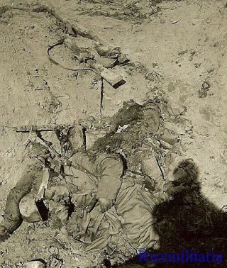 Somber Us Soldier View Of Bodies Of Kia German Troops W/ Weapons In Field