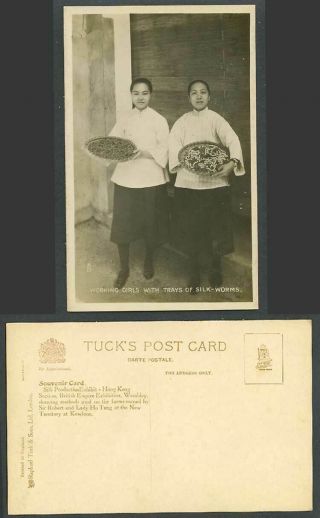 China Hong Kong Old Rp Postcard Girls With Trays Of Silk Worms Silkworms