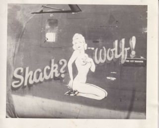 Wwii Photo Aaf 451st Bomb Group B - 24 Bomber " Shack? Wolf " Nose Art 25