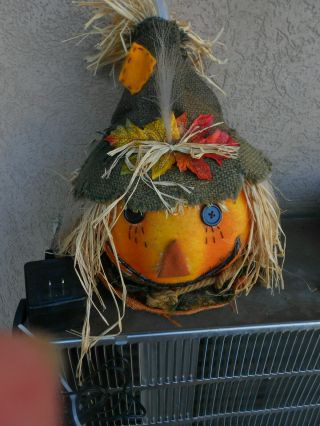 Halloween Fiber Optic Pumpkin Head Jack O Lantern Scarecrow