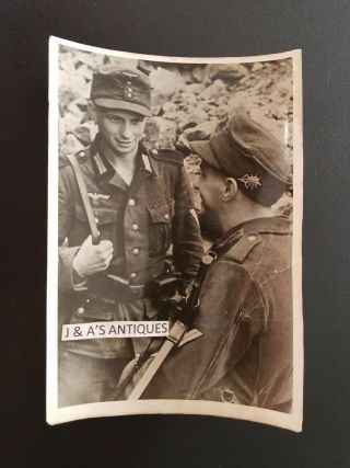 Vintage Wwii Nazi German Soldiers Photo World War 2